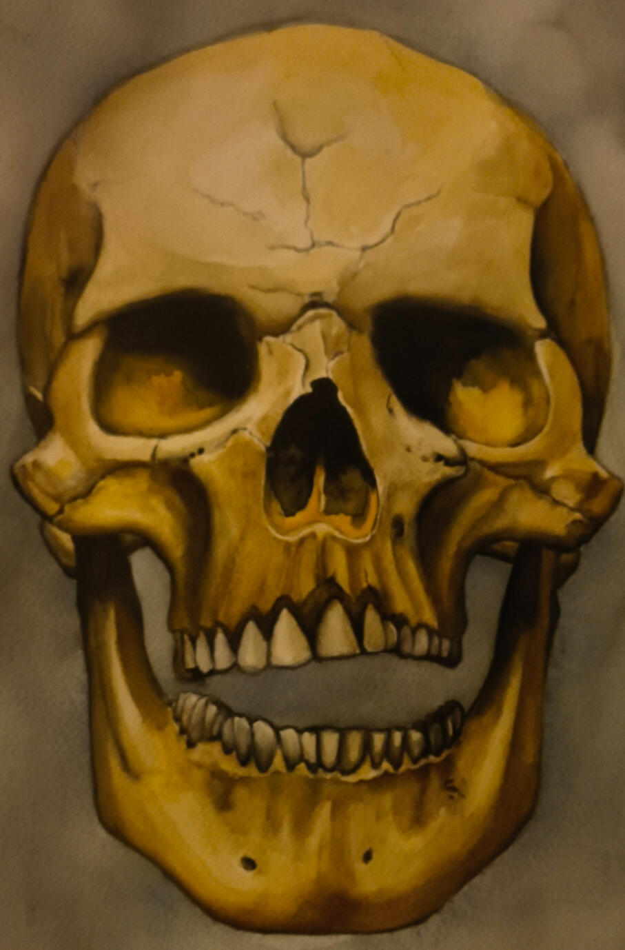 first skull after the stroke watercolours